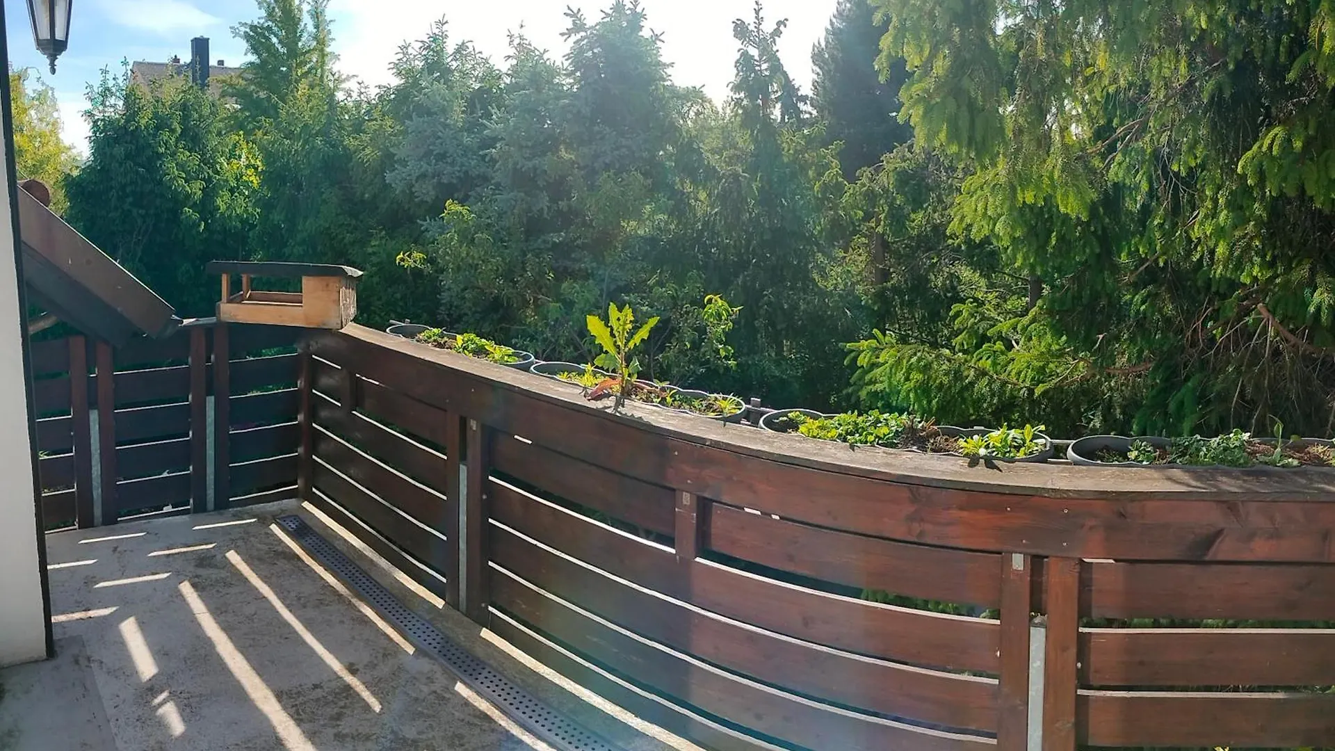 Apartamento Pension Kaden Dresde